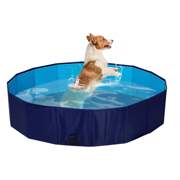 SEEKAVAN Plastic Foldable Dog Pool & Reviews Wayfair